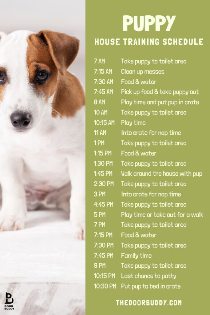 Puppy Training Tips Puppy Training Schedule Puppy Training Puppy 