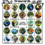 Rainforest Free Printable Bingo Cards Rainforest Activities
