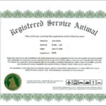 Service Dog Certificate Template 3 PROFESSIONAL TEMPLATES