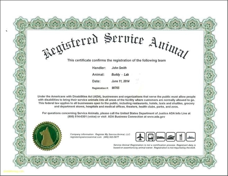 Service Dog Certificate Template 3 PROFESSIONAL TEMPLATES