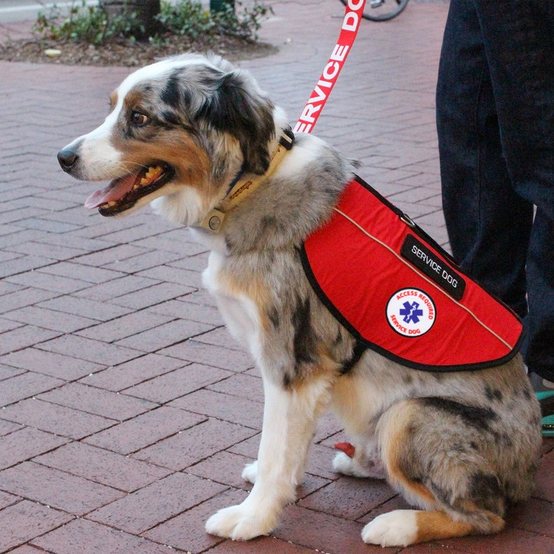 Service Dog Vest Emotional Support Animal Esa Dog Vest Etsy