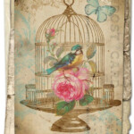 Shabby Chic Free Vintage Printables Vintage Birds Decoupage Vintage