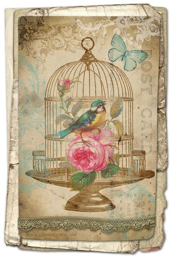 Shabby Chic Free Vintage Printables Vintage Birds Decoupage Vintage