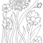 Simple Flowers For Adult Relaxing Coloring Page Printable