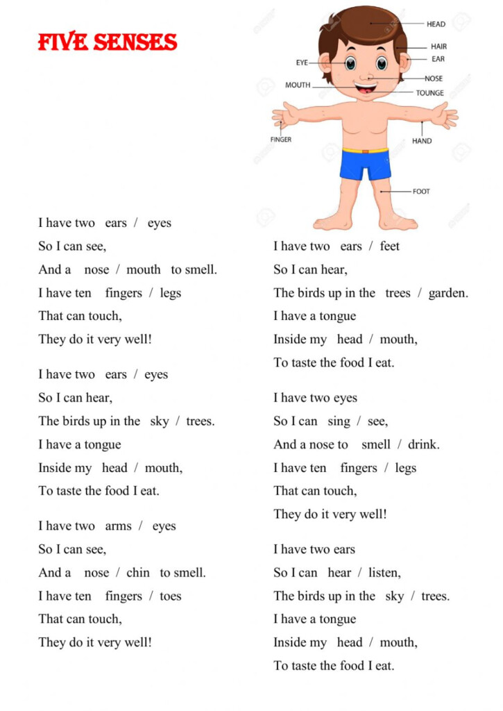 Song Five Senses Worksheet