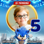 Sonic The Hedgehog Birthday Invitation PDF Digital File Download