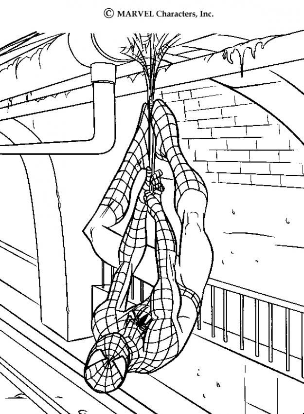 Spiderman Coloring Pages For Kids Printable Free Coloring Home