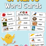 Spring Picture Word Cards PreKinders