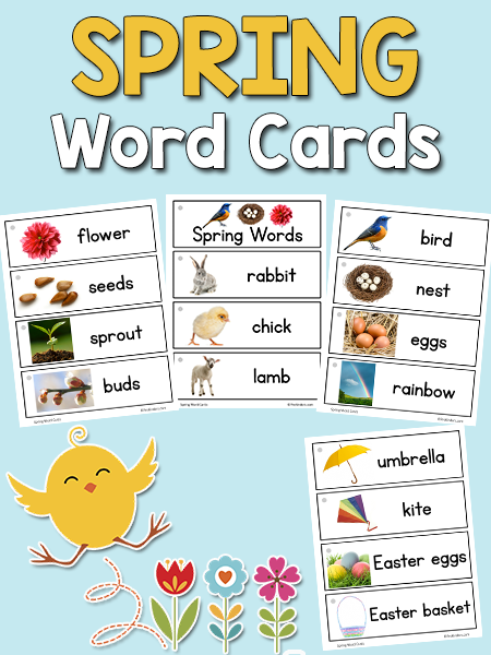 Spring Picture Word Cards PreKinders