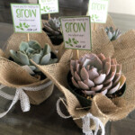 Thank You For Helping Me Grow Succulent Teacher Appreciation Gift