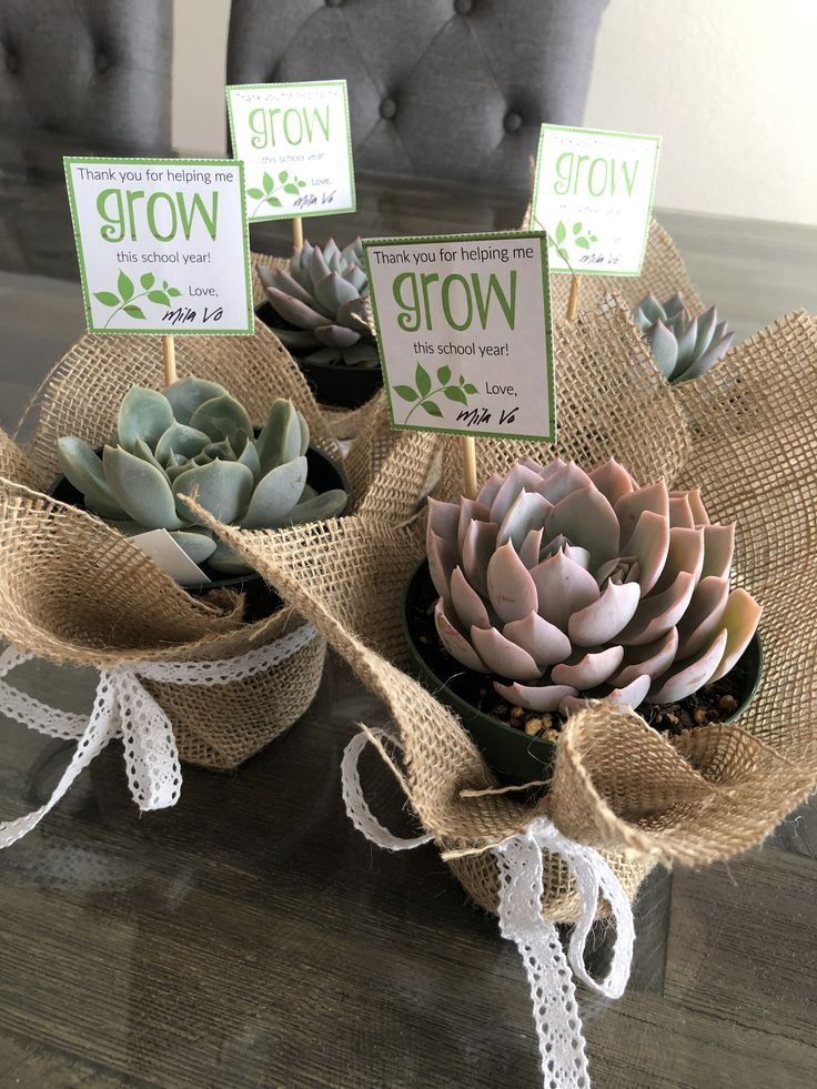 Thank You For Helping Me Grow Succulent Teacher Appreciation Gift 