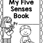 The Five Senses worksheets Book Posters BONUS Boom Cards Five