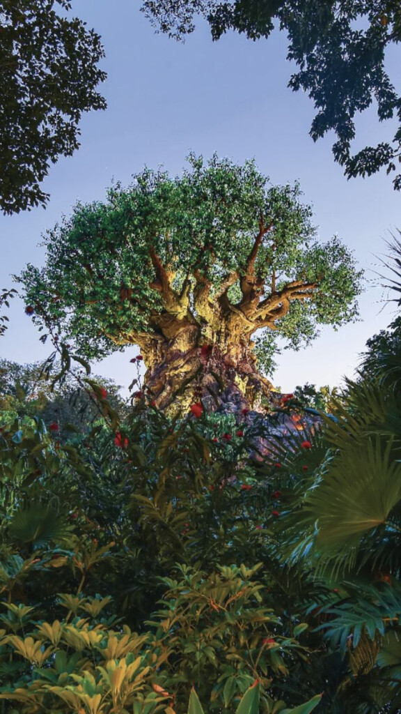 Tree Of Life Disneyworld Epcot Epcot Disney Disney Parks