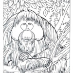 Trees Coloring Pages Educational Fun Kids Coloring Pages And