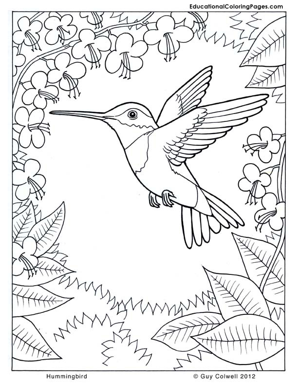 Trees Coloring Pages Educational Fun Kids Coloring Pages And 