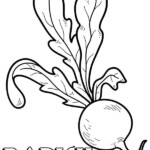 Vegetable Radish Coloring Page Printable