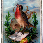 Vintage Clip Art Amazing Bird Card Robin The Graphics Fairy