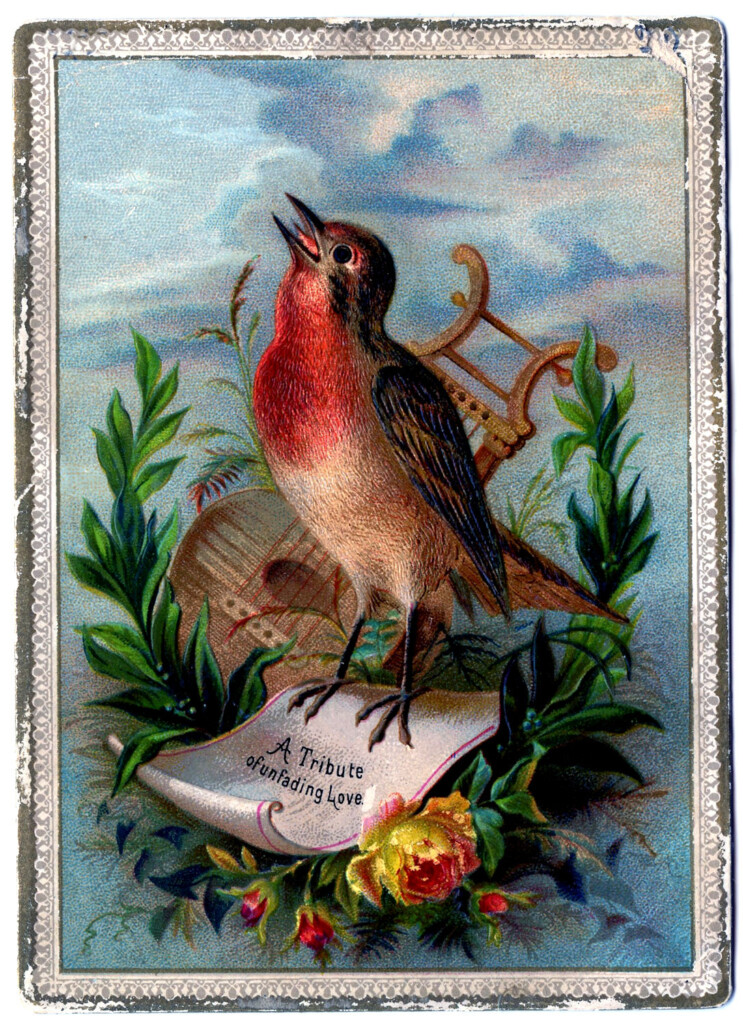 Vintage Clip Art Amazing Bird Card Robin The Graphics Fairy