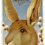 Vintage Easter Graphic Beautiful Big Bunny The Graphics Fairy