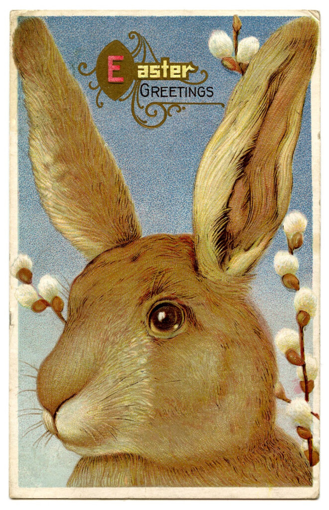 Vintage Easter Graphic Beautiful Big Bunny The Graphics Fairy