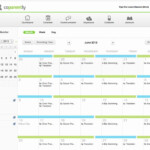 Visitation Schedule Template Fresh Free Visitation Schedule Template