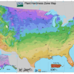 What s Your Planting Zone USDA Plant Hardiness Zone Map The Old