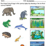 Where Do Animals Live Worksheets 99Worksheets