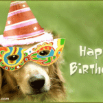 Wish A Bow Wow Birthday Free Pets ECards Greeting Cards 123 Greetings