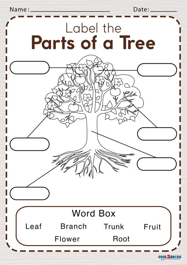 You Searched For Parts Of A Tree Cool2bKids Kindergarten Worksheets