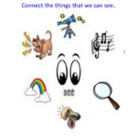 Your Sense Of Sight Worksheets 99Worksheets