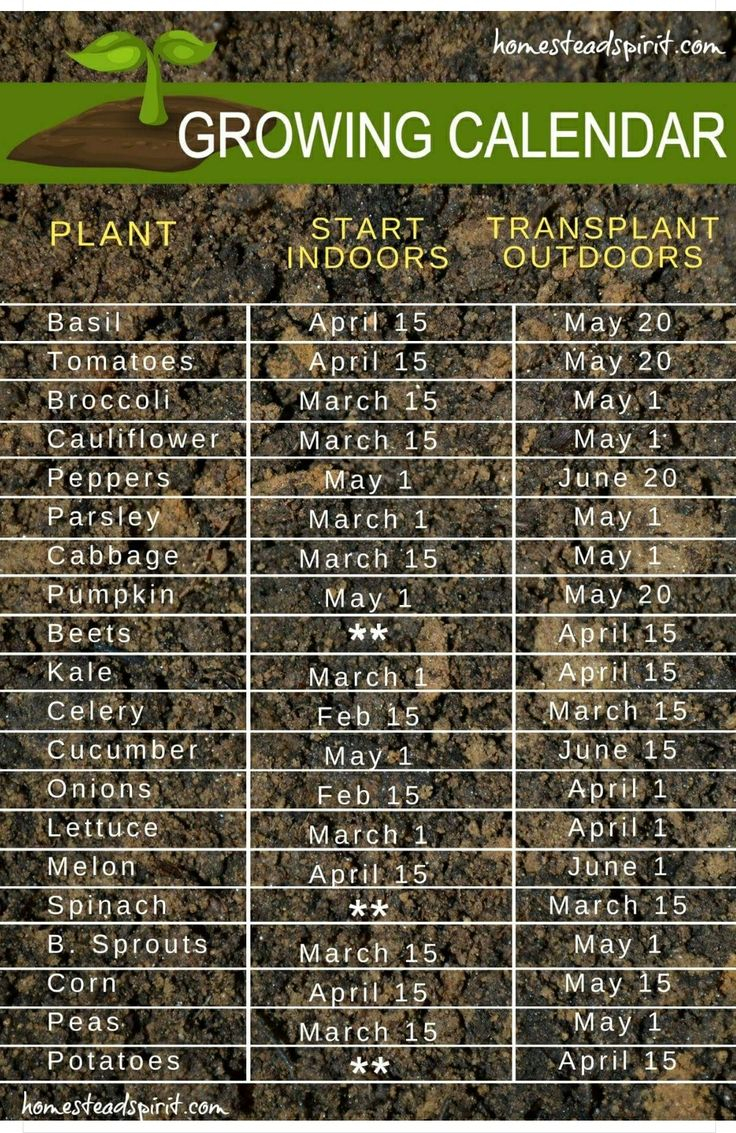 Printable Zone 6 Planting Schedule FreePrintable.me